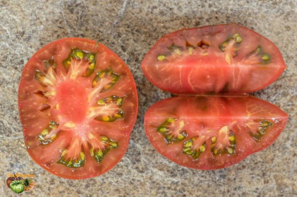 watermelon Арбузные