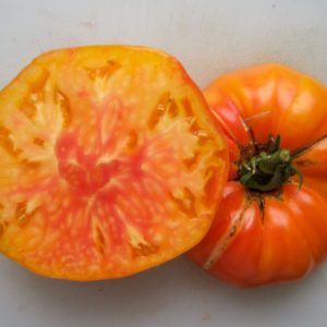 grapefruit Грейпфрутт