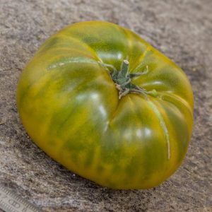 green pineapple buschtomate