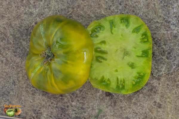 green pineapple buschtomate