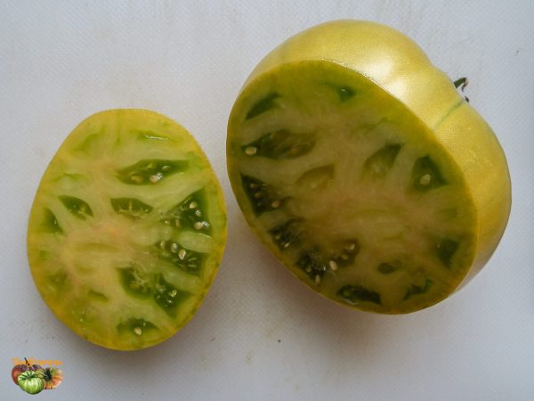 NORTHERN GREEN - Image 3