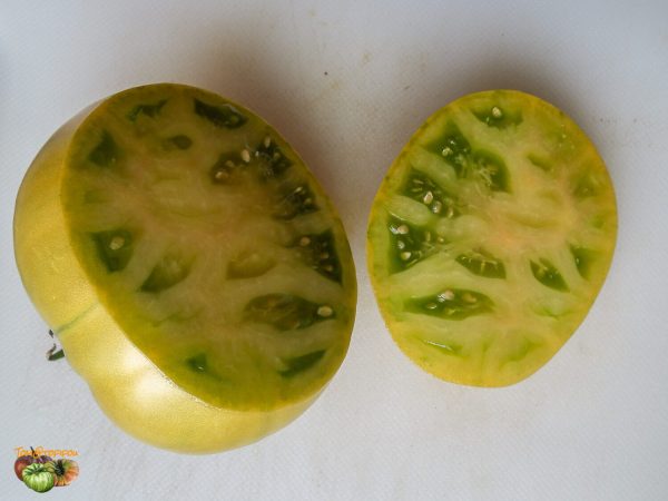 NORTHERN GREEN - Image 4
