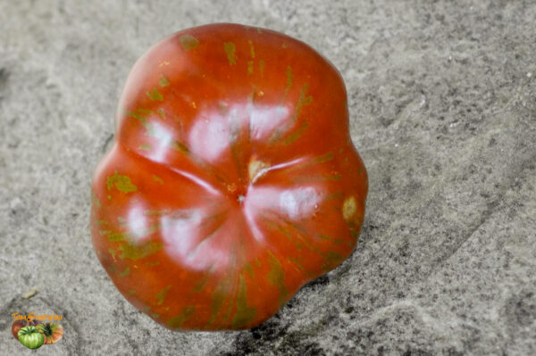 BROWN FLESH - Image 2