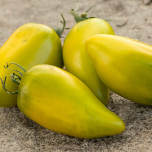 chile verde