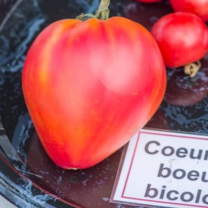 coeur de boeuf bicolore