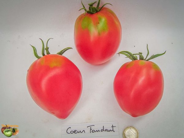 coeur fondant
