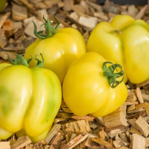 douchoua pepper