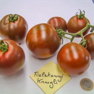 fioletovyi kruglyi