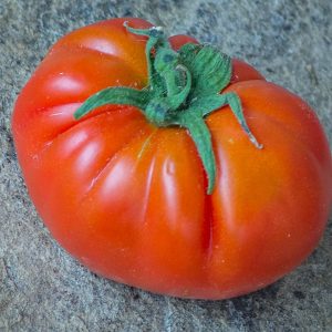 goji faranjii