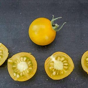 gold berries