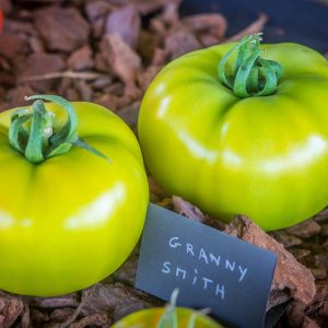 granny smith
