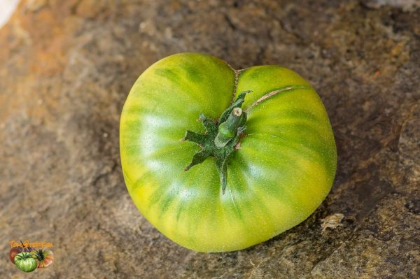 green giant