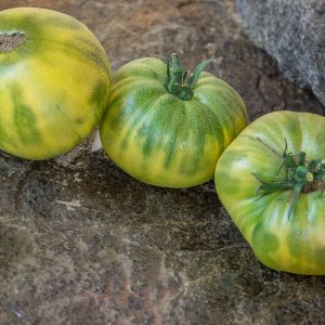 GREEN GIANT
