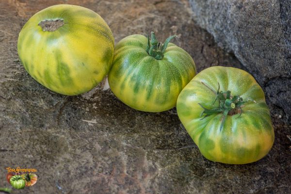 green giant