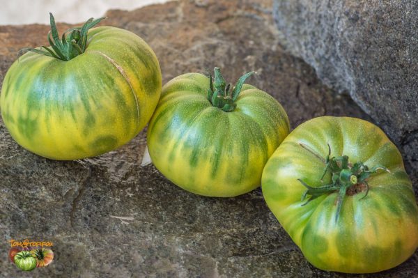 green giant