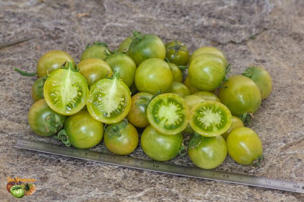 green grape beyond