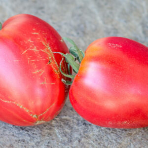heartshaped brandywine