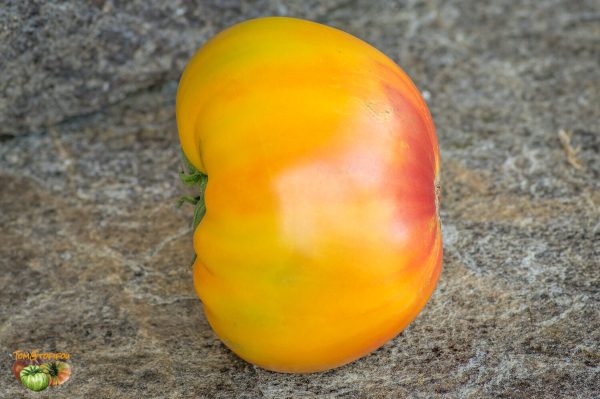 honey giant