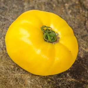 hugh's lemon oxheart