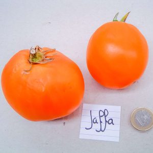 jaffa