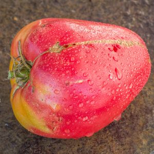 joe's pink heart