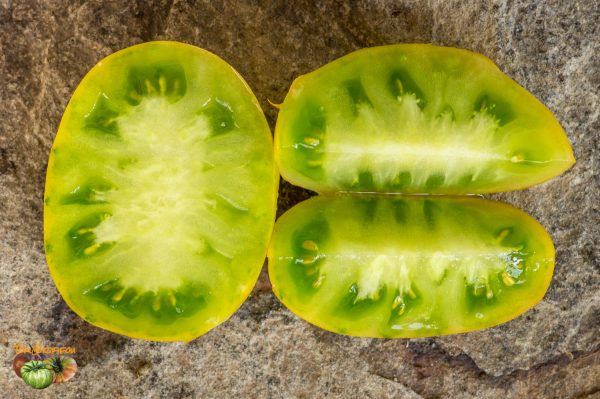LIME GREEN SALAD - Image 7