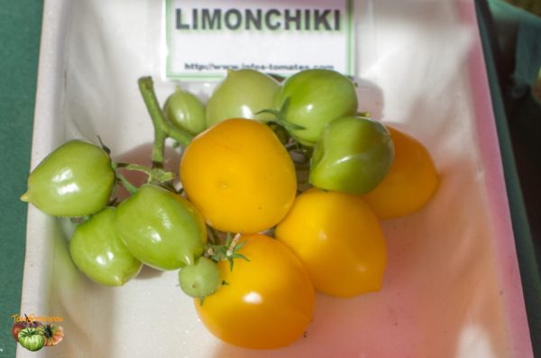 limonchiki