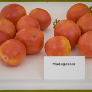 madagascar