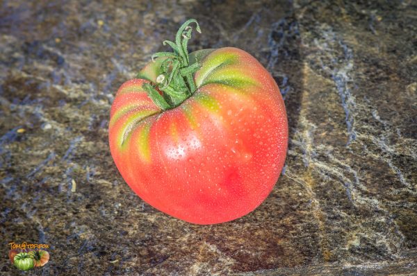 MRS SCHLAUBAUGH'S FAMOUS STRAWBERRY