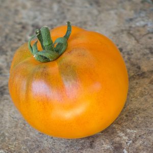 orange fleshed purple smudge