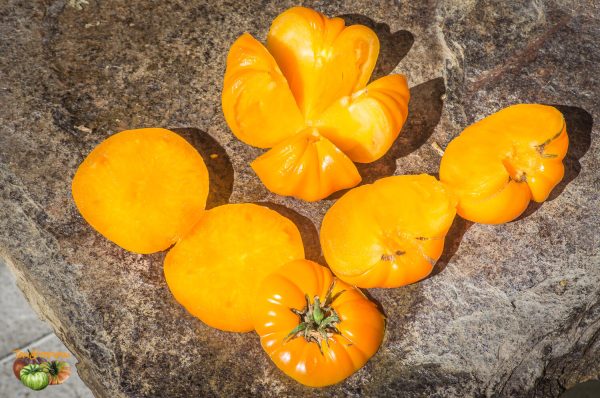 ORANGE STRAWBERRY - Image 4