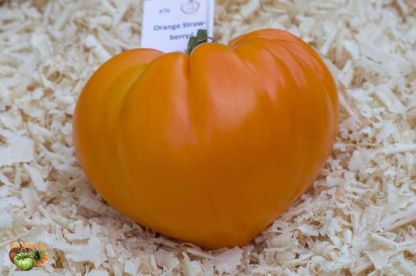 ORANGE STRAWBERRY