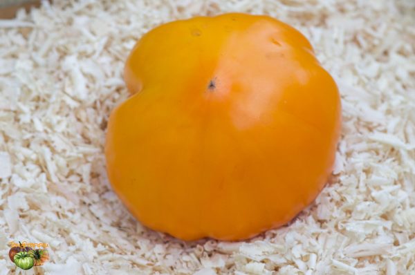 ORANGE STRAWBERRY - Image 2