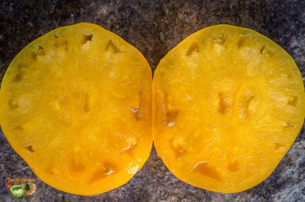 ORANGE STRAWBERRY - Image 5