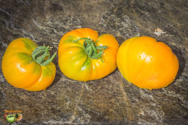 ORANGE STRAWBERRY - Image 3