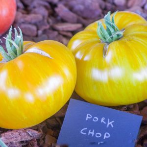 pork chop