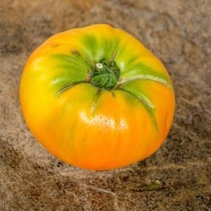 rhoades heirloom