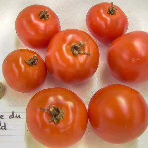 rouge de gand