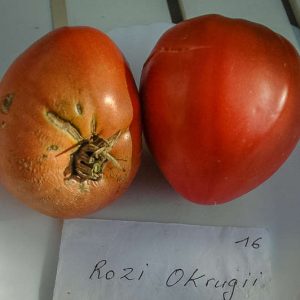 rozi okrugli
