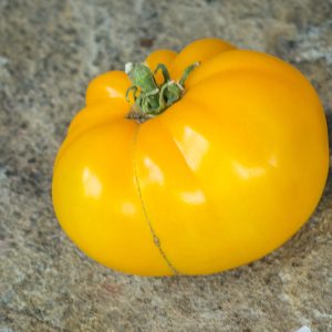 sean's yellow dwarf