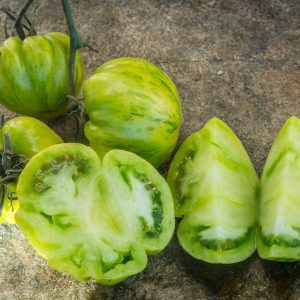 GREEN BELL PEPPER