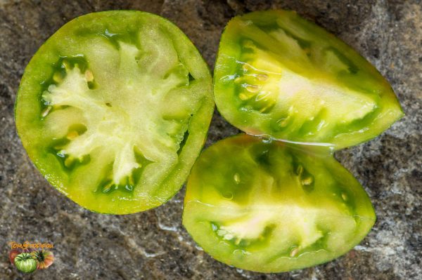 berkeley tie dye green 17 juillet 2017 5 3