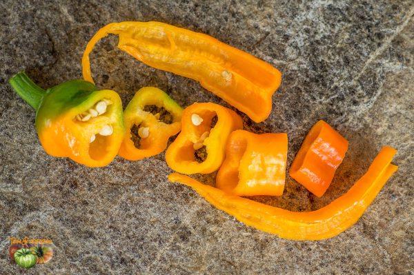 snack pepper 15 juin 2017 2 2