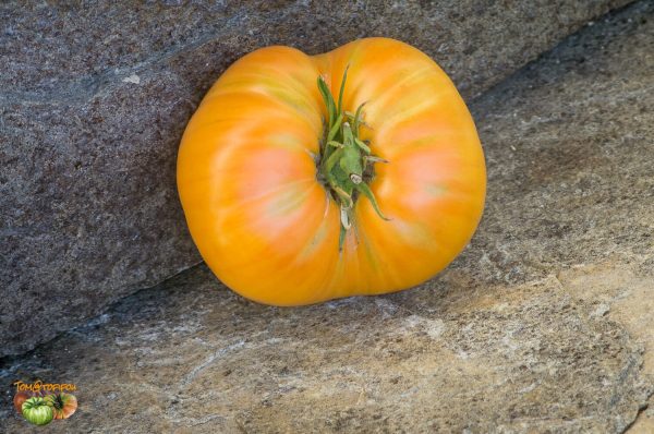 SWEET OZARK ORANGE - Image 3