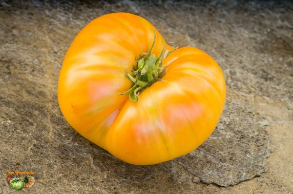 SWEET OZARK ORANGE