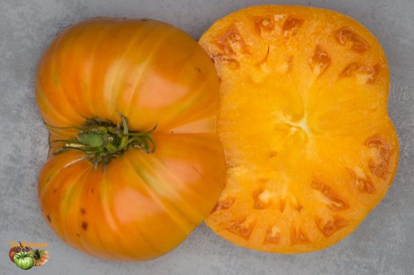 SWEET OZARK ORANGE - Image 7