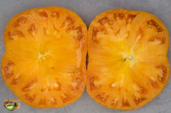 SWEET OZARK ORANGE - Image 6